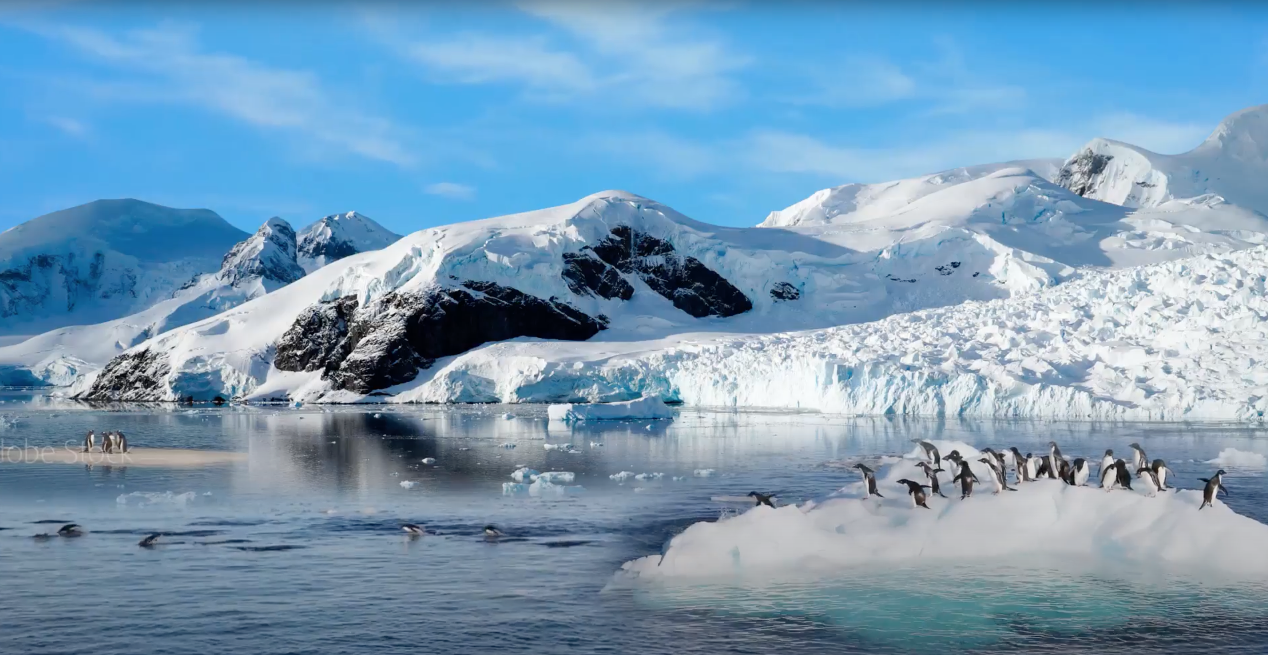 Reference photograph of an Antarctic glacier and penguin colony