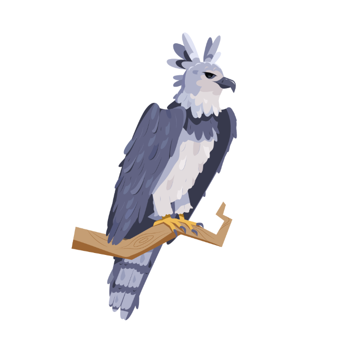 Final Harpy Eagle character look