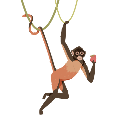 Final Monkey character look