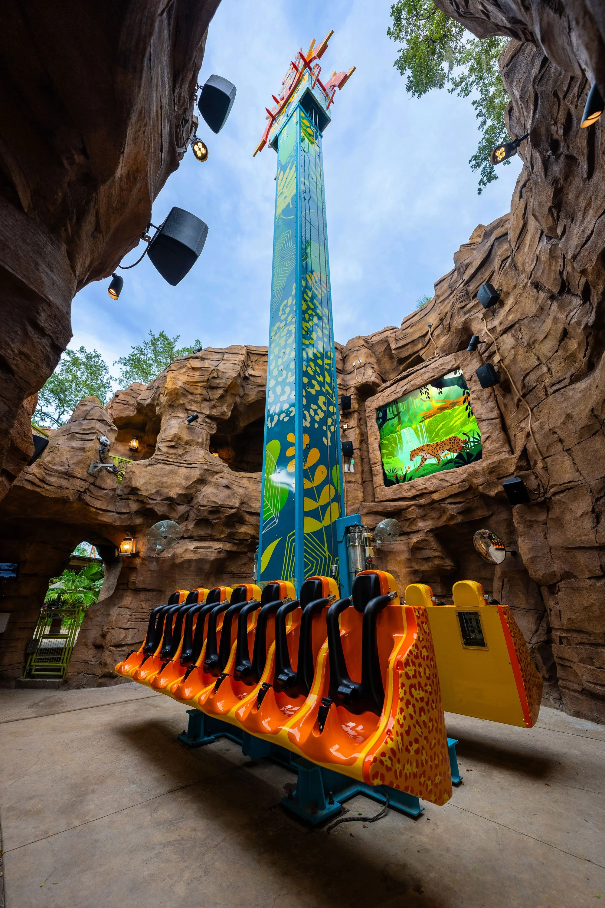 Treetop Drop tower at Wild Oasis, Busch Gardens Tampa Bay